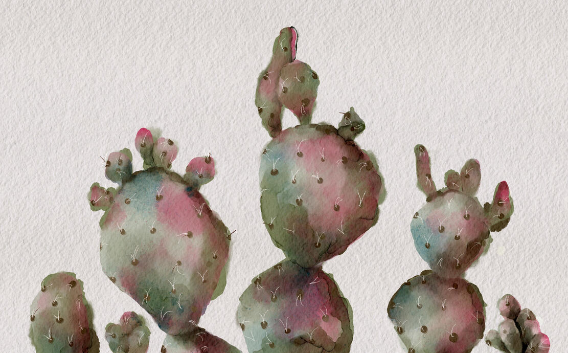 I can also make illustrations of your favorite plants in the form of watercolor digital art